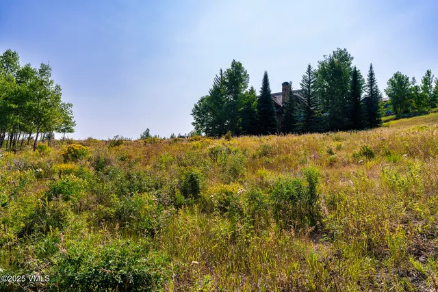 a view of a yard with a tree