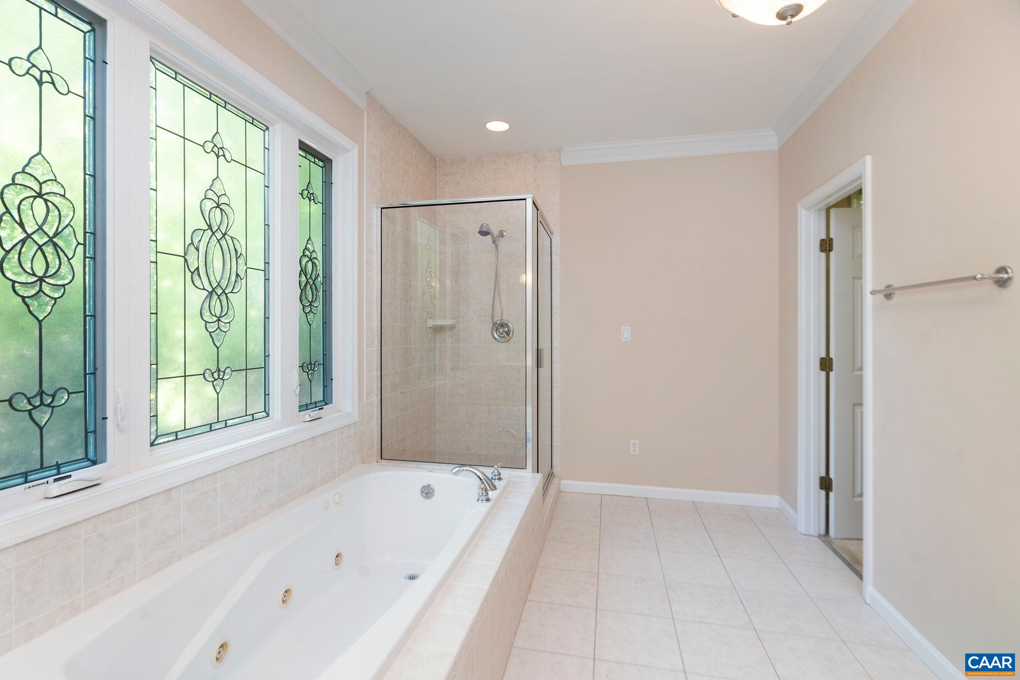 21 Amethyst Road Palmyra, VA 22963 - Photo 27 of 66 a bathroom with a bathtub a shower and a sink