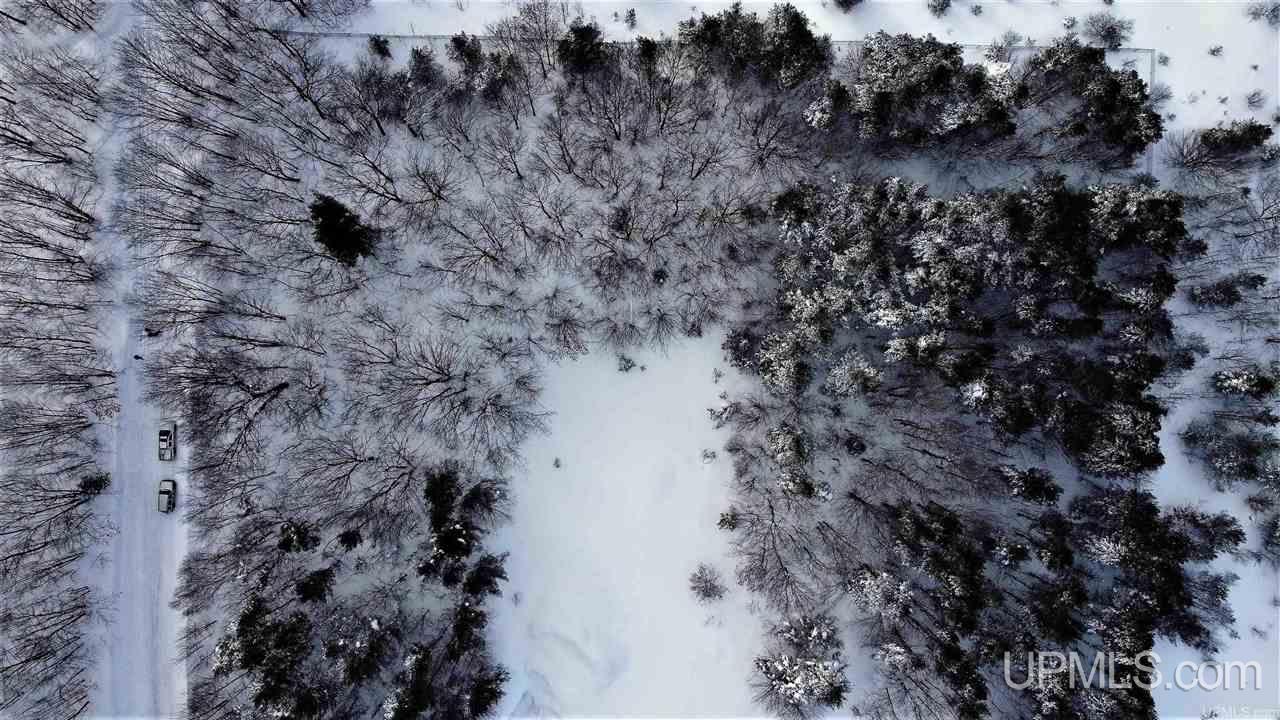 Tbd Siira Road Atlantic Mine, MI 49905 - Photo 1 of 17