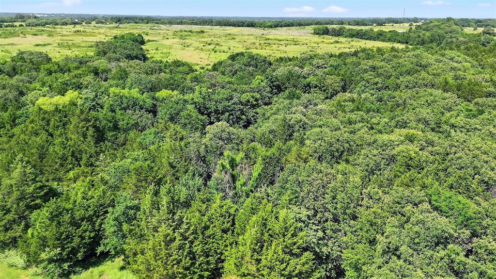 3-acres Sandusky Road Whitesboro, TX 76273 - Photo 11 of 16