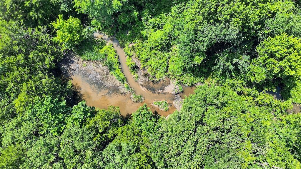 3-acres Sandusky Road Whitesboro, TX 76273 - Photo 13 of 16