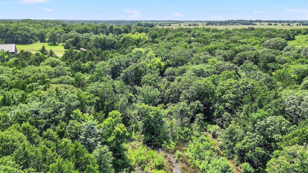 3-acres Sandusky Road Whitesboro, TX 76273 - Photo 14 of 16