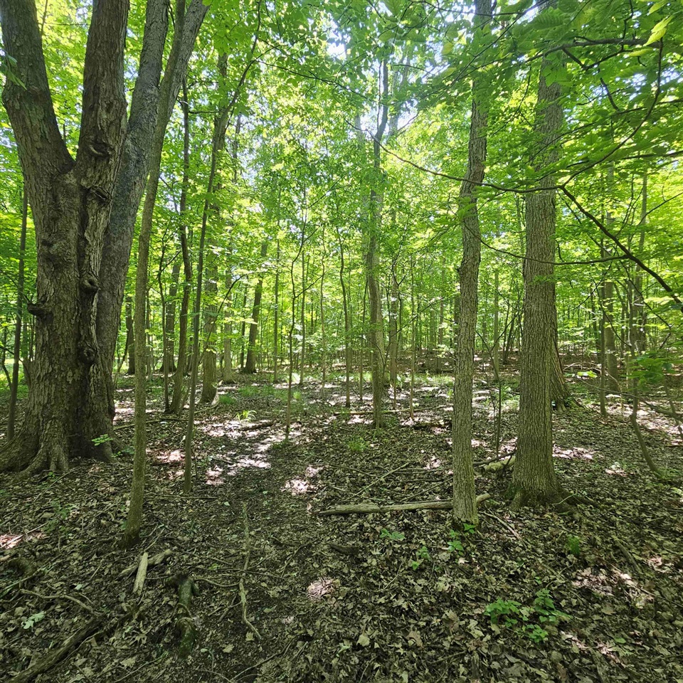 1 Mowatt Road North Branch, MI 48461 - Photo 13 of 23