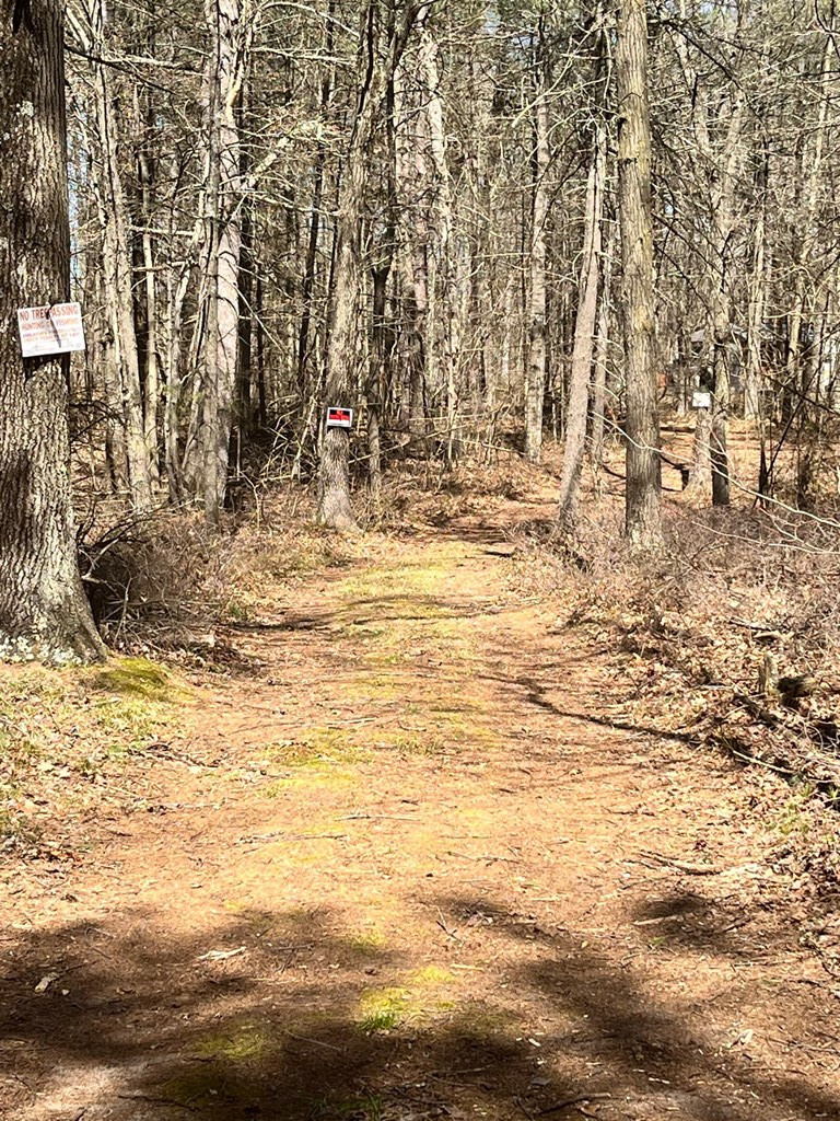 0 Lapham Mills Road Peru, NY 12972 - Photo 9 of 10