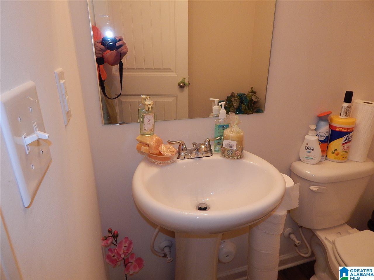 301 Addison Drive Calera, AL 35040 - Photo 9 of 50