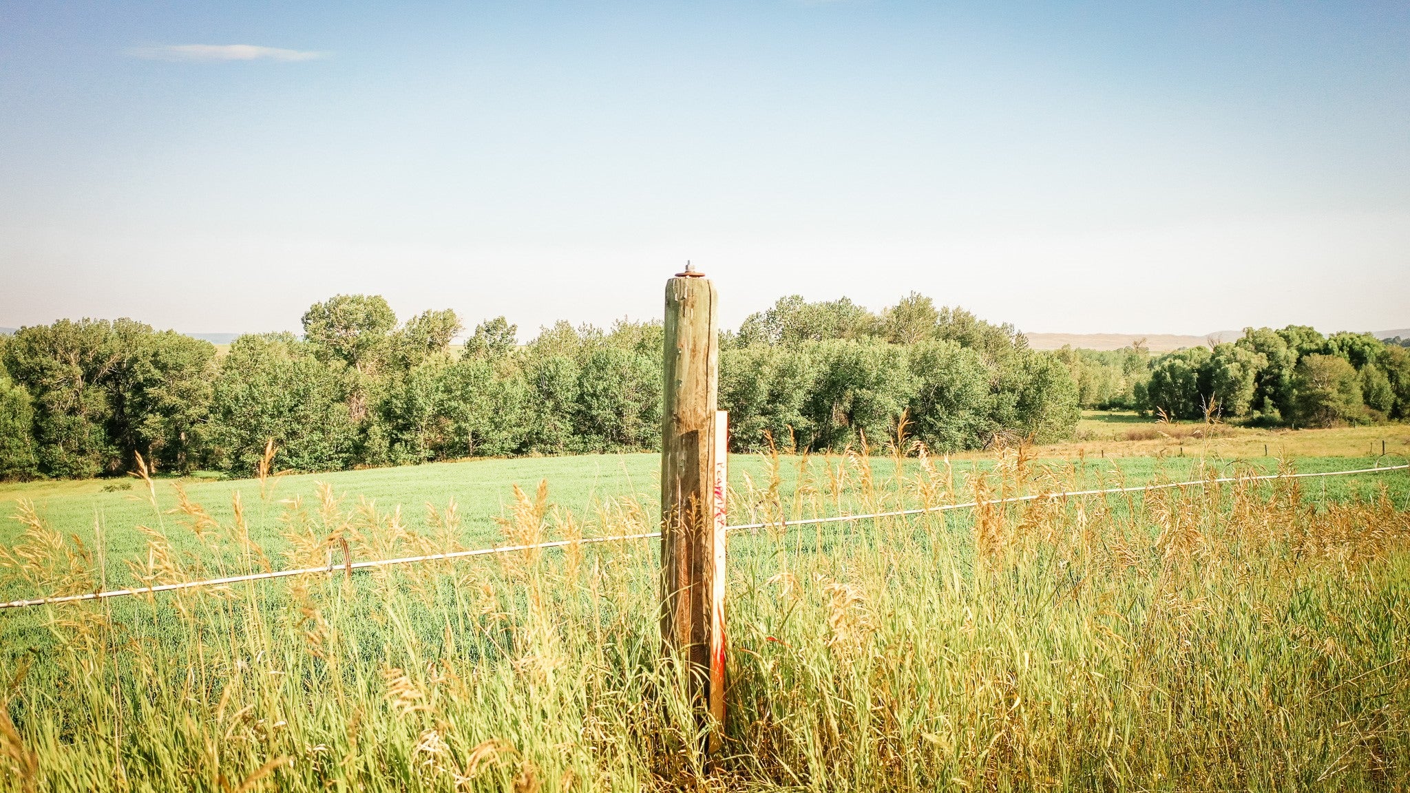 Nhn Shields River Road Wilsall, MT 59086 - Photo 5 of 7 Gallery Image 5