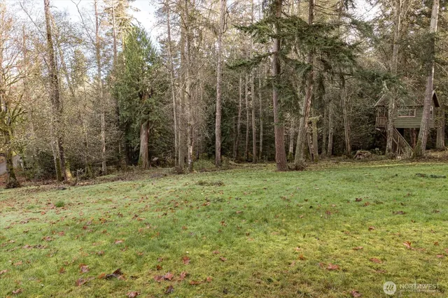a view of backyard with green space