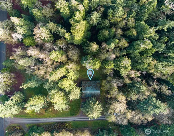 a view of flowers in a yard