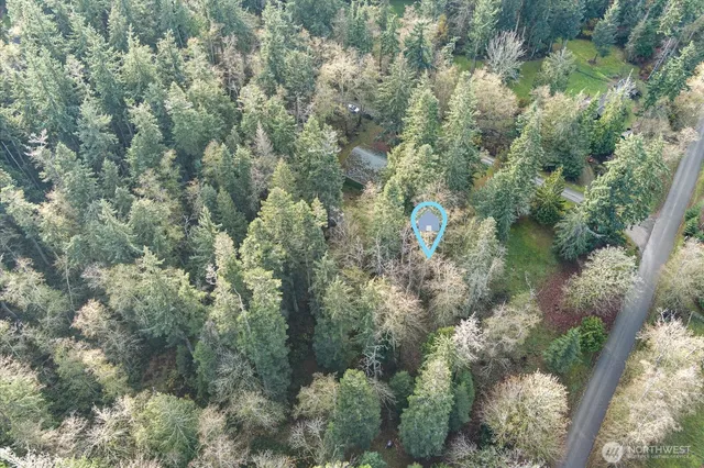an aerial view of forest
