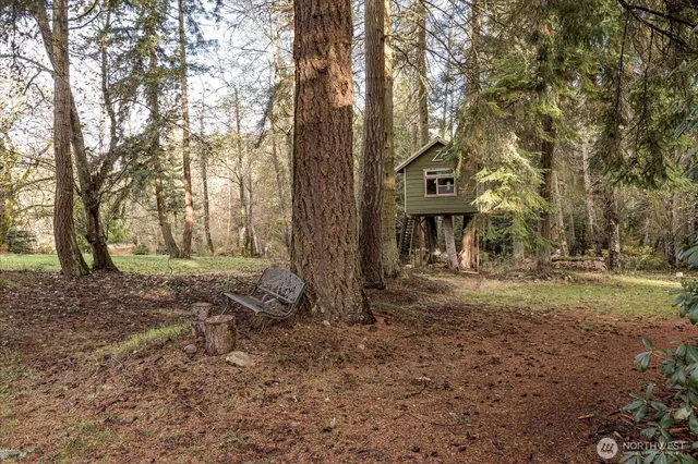 a view of a yard with a tree