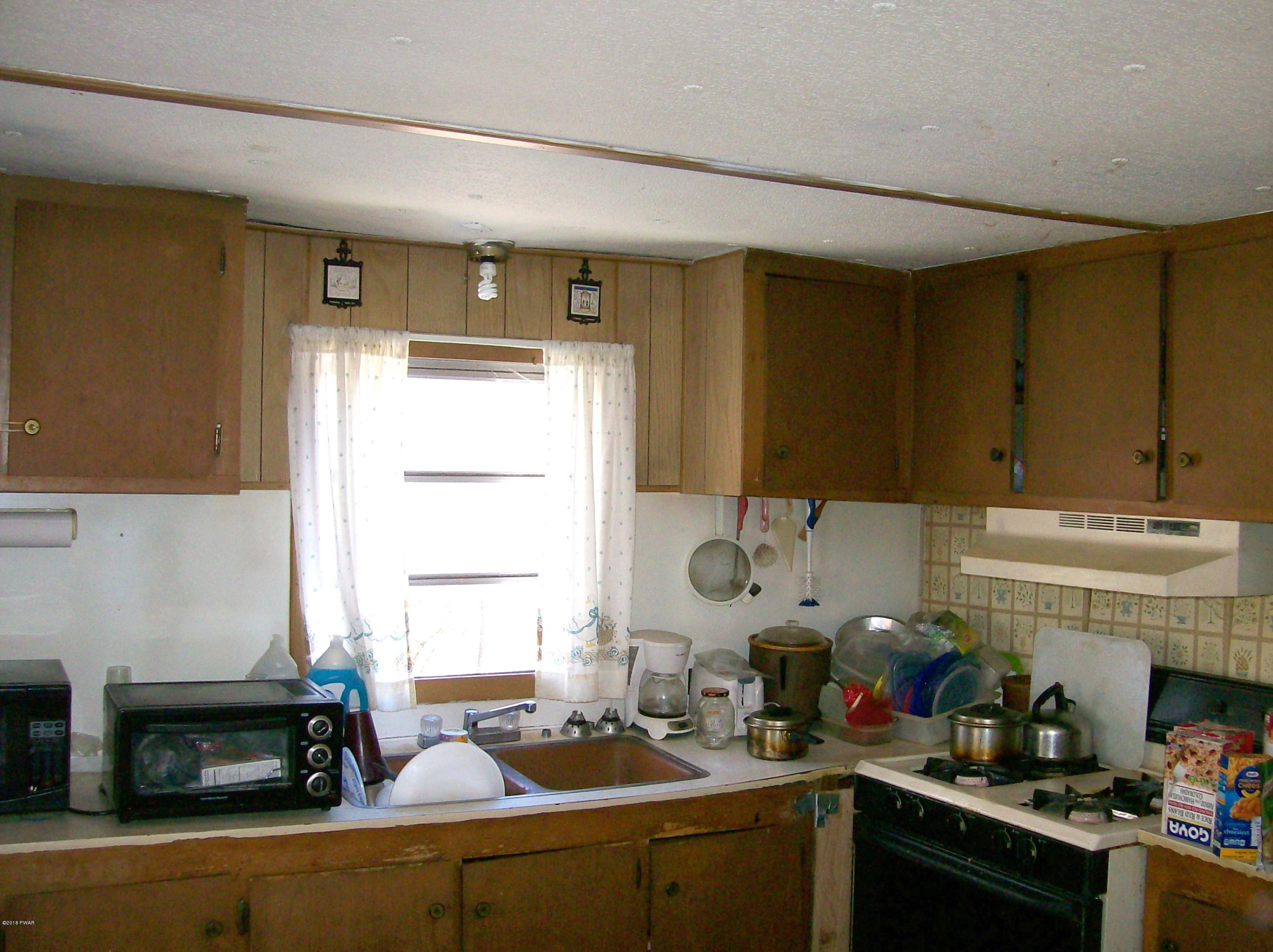 1075 Pine Mill Road Equinunk, PA 18417 - Photo 4 of 12