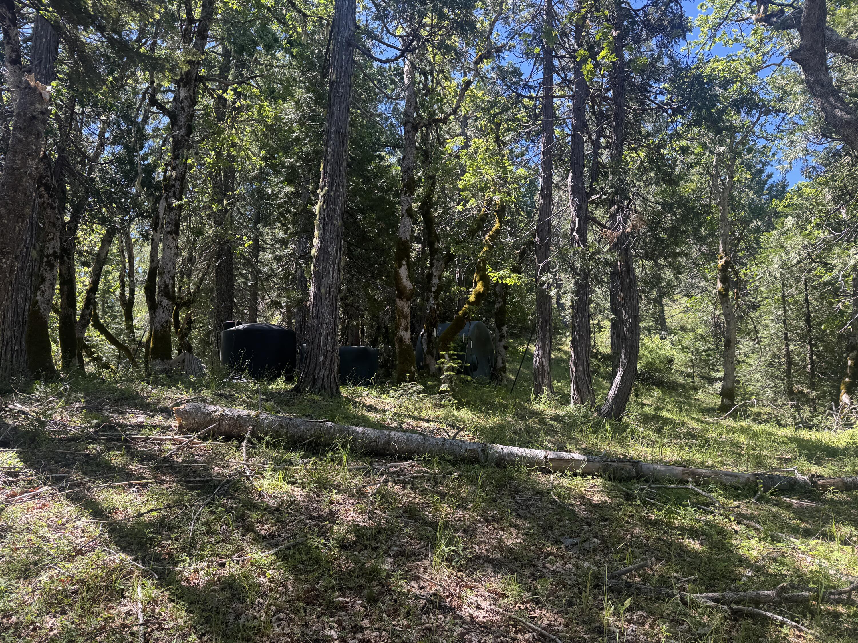 40-acres Snow Camp Road Korbel, CA 95550 - Photo 25 of 26