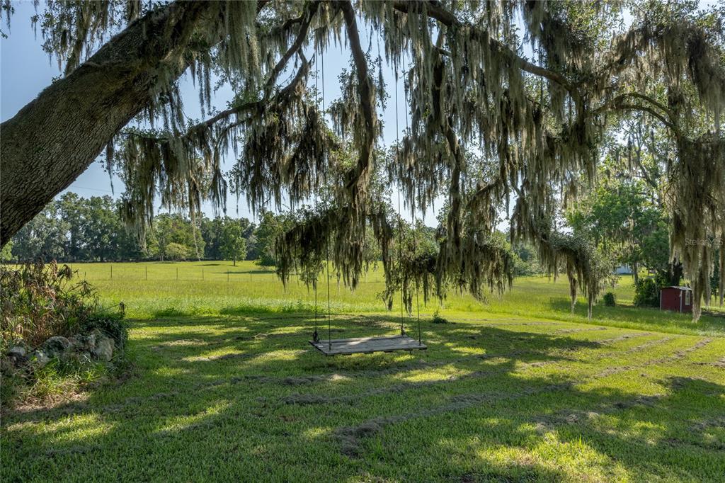 21601 Old Bellamy Road Alachua, FL 32615 - Photo 39 of 67