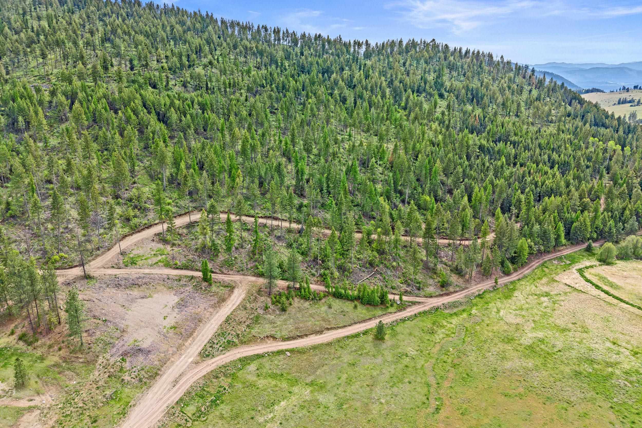 3114 Old Baldy Road Rice, WA 99167 - Photo 33 of 48
