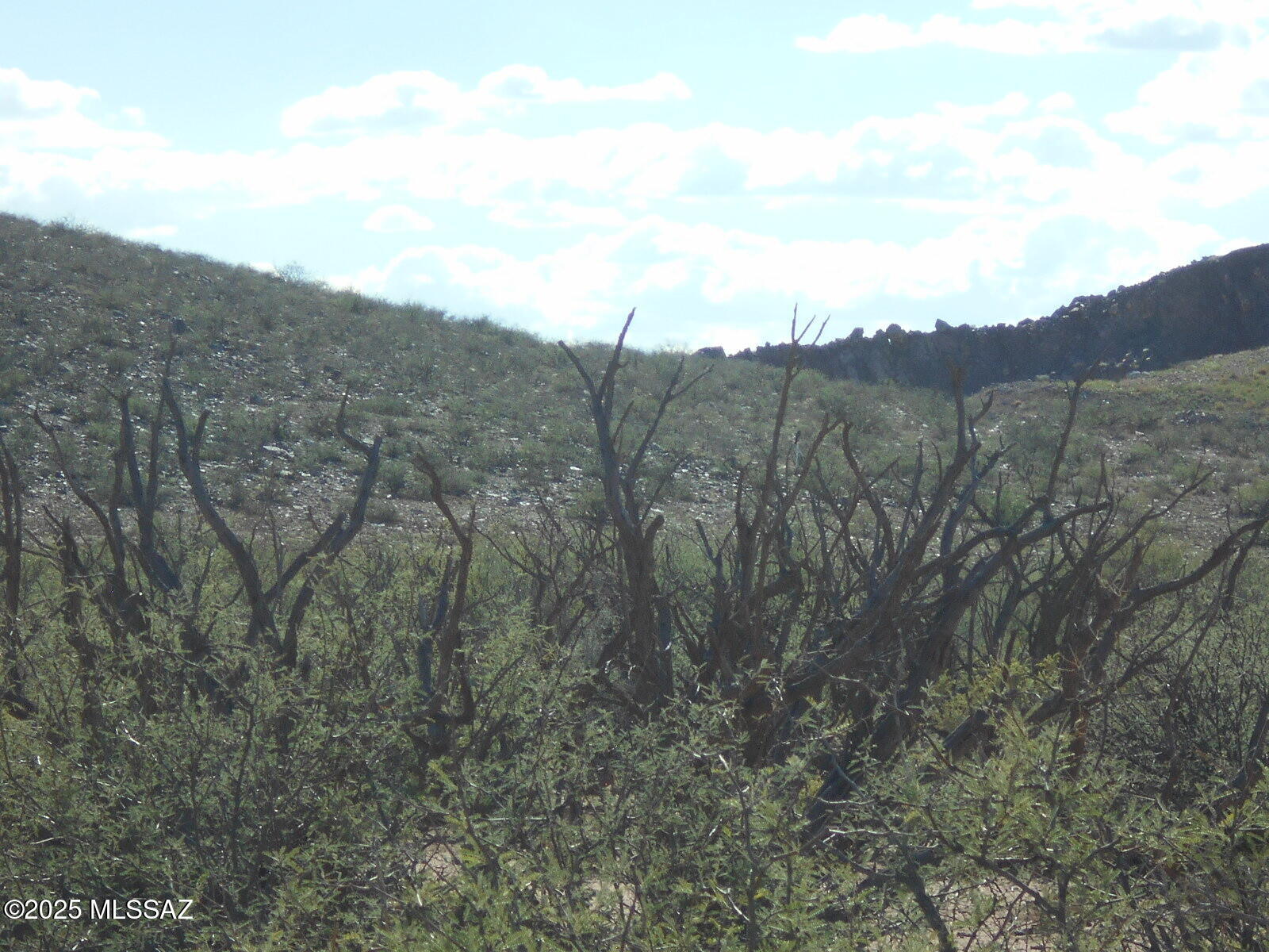36.8-acres West Old Stewart Road, Unit 53 Willcox, AZ 85643 - Photo 20 of 42