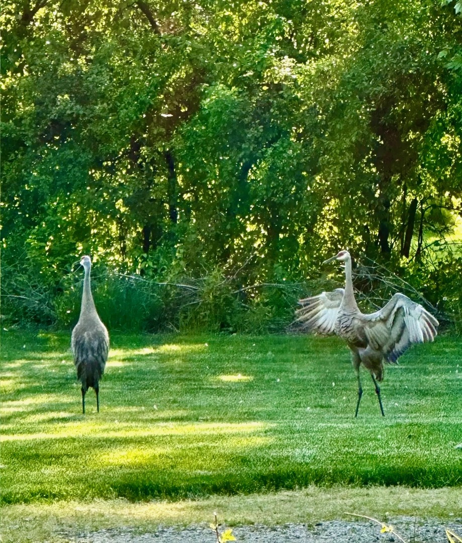 635 Signal Hill Road North Barrington, IL 60010 - Photo 60 of 68