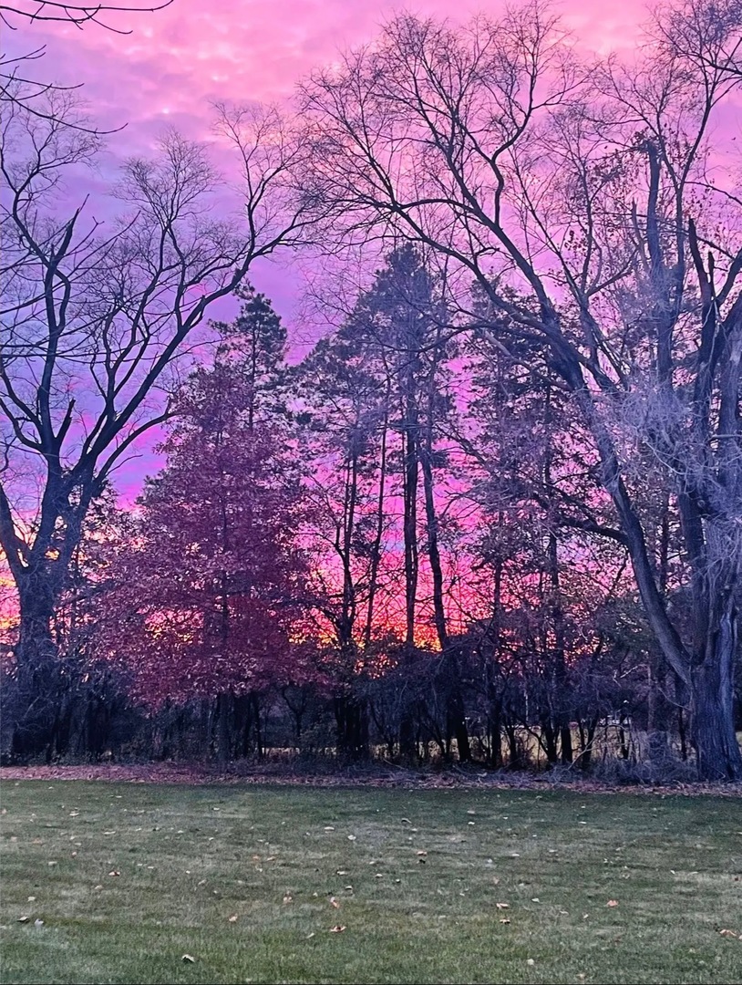 635 Signal Hill Road North Barrington, IL 60010 - Photo 61 of 68