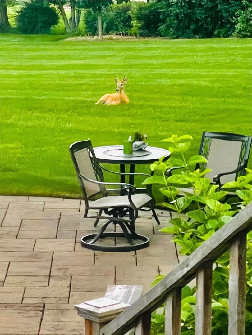 635 Signal Hill Road North Barrington, IL 60010 - Photo 62 of 68