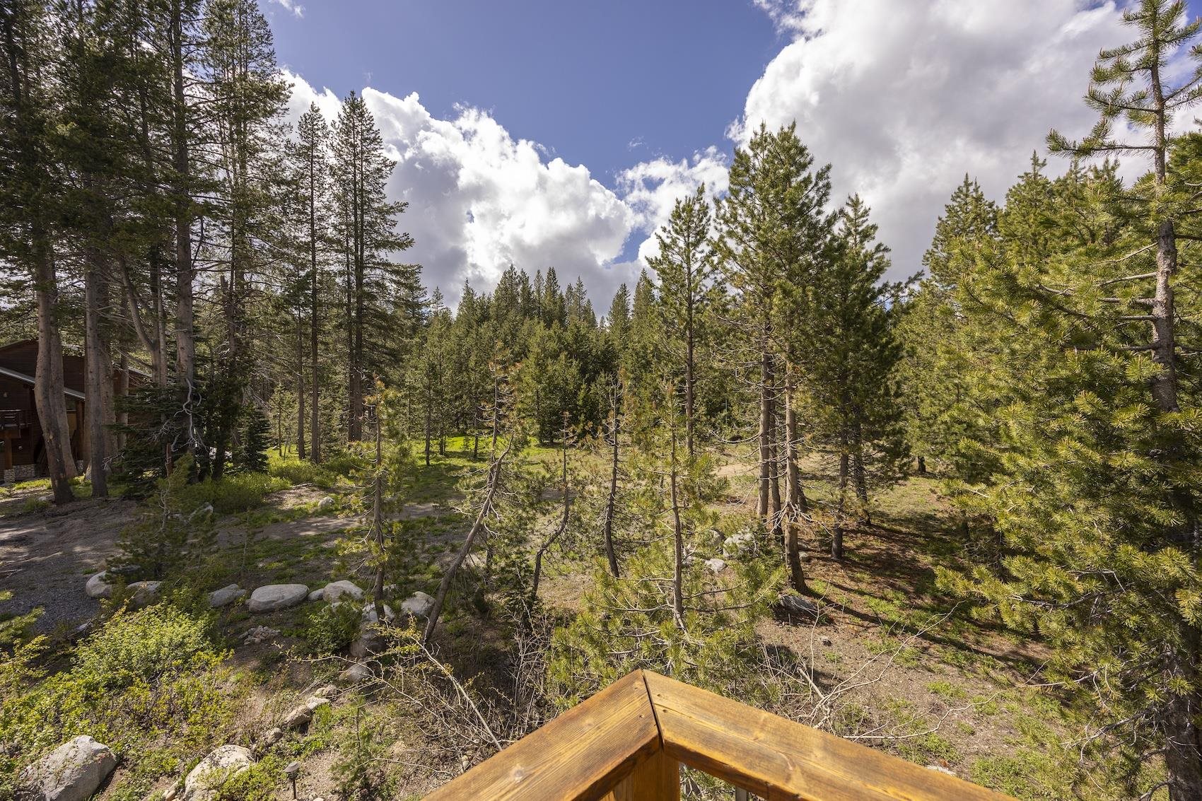 6104 Serene Road Soda Springs, CA 95728 - Photo 20 of 28