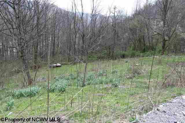 166 Bergoo Road Webster Springs, WV 26288 - Photo 9 of 12 Gallery Image 9