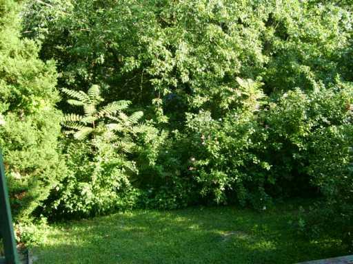 2637 Mt Troy Road Pittsburgh, PA 15212 - Photo 8 of 8 Other.