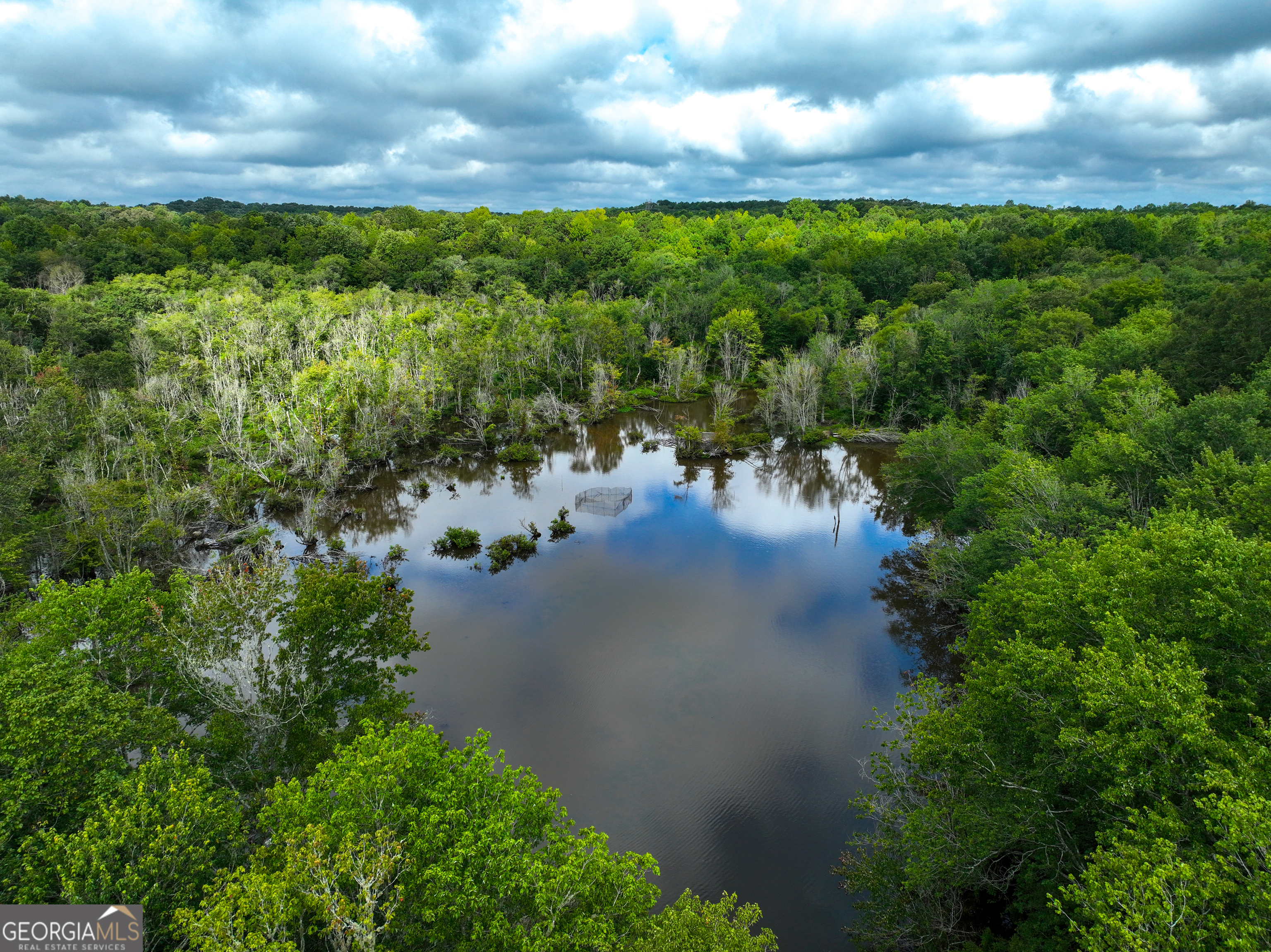 a view of a lake with green space