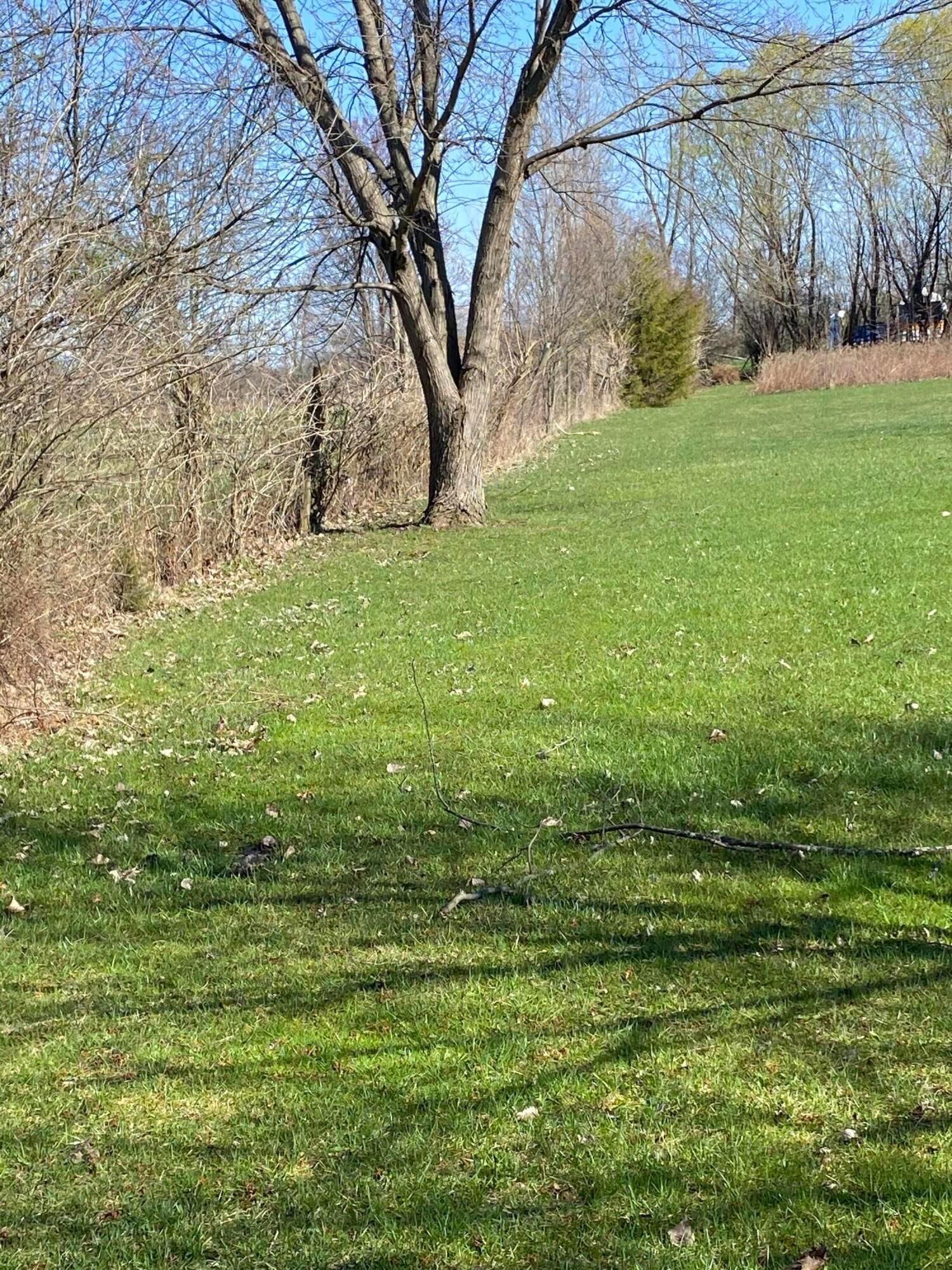 4644 Zuber Road Orient, OH 43146 - Photo 31 of 41 Gallery Image 31