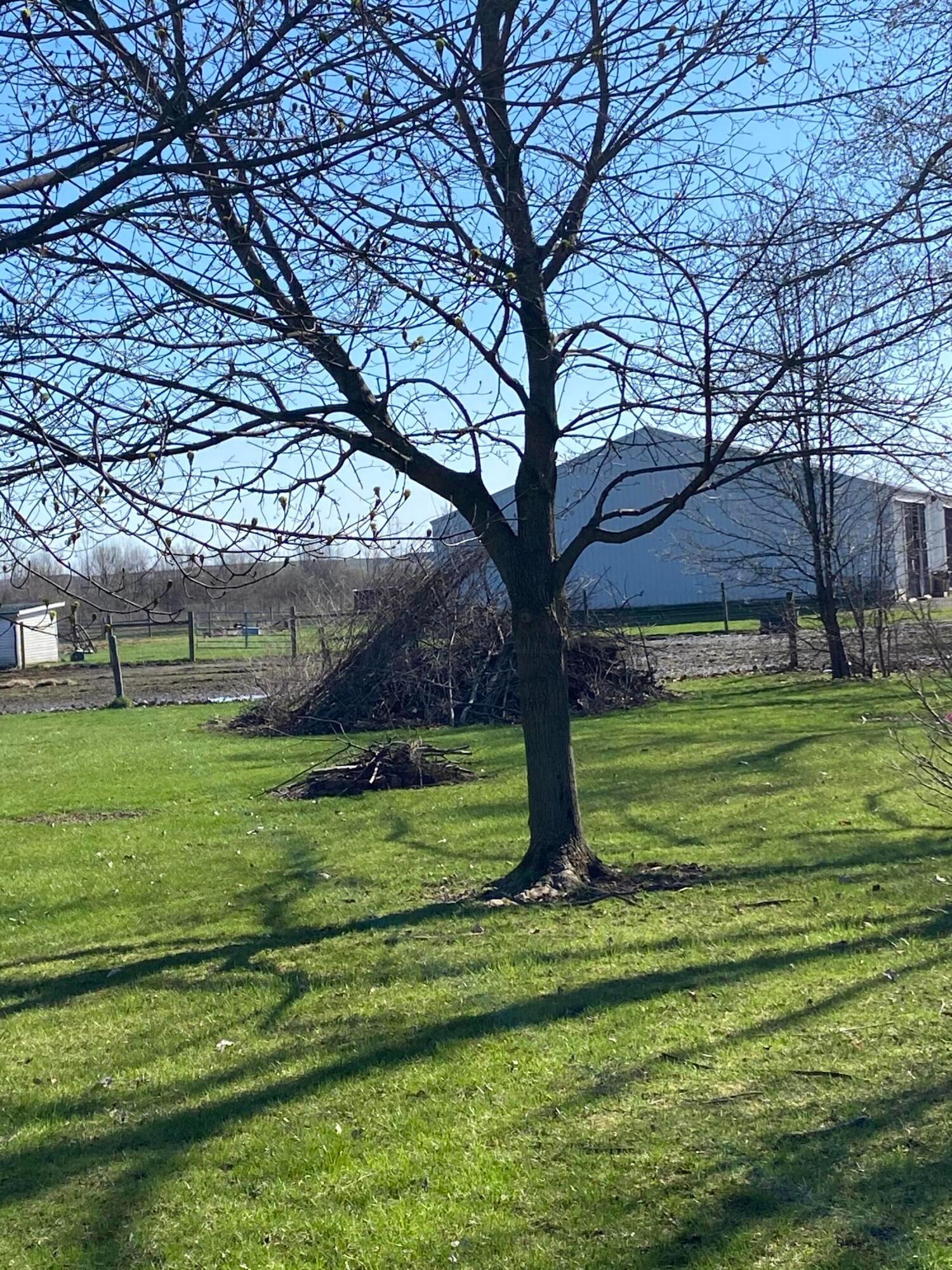 4644 Zuber Road Orient, OH 43146 - Photo 33 of 41 Gallery Image 33