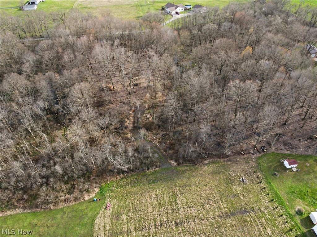 24865 Center Avenue Homeworth, OH 44634 - Photo 4 of 8