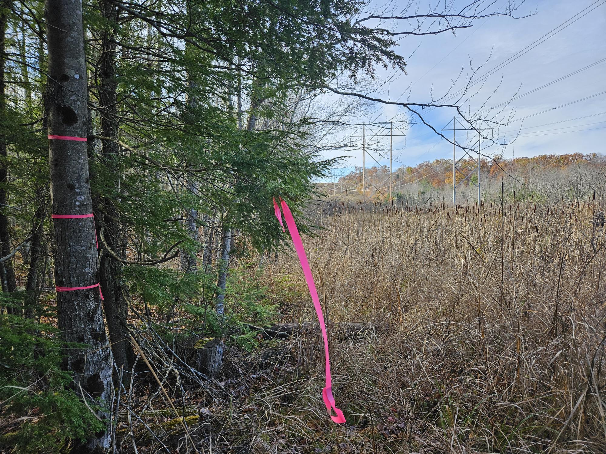 11 Old Alfred Road Waterboro, ME 04087 - Photo 33 of 38 Corner