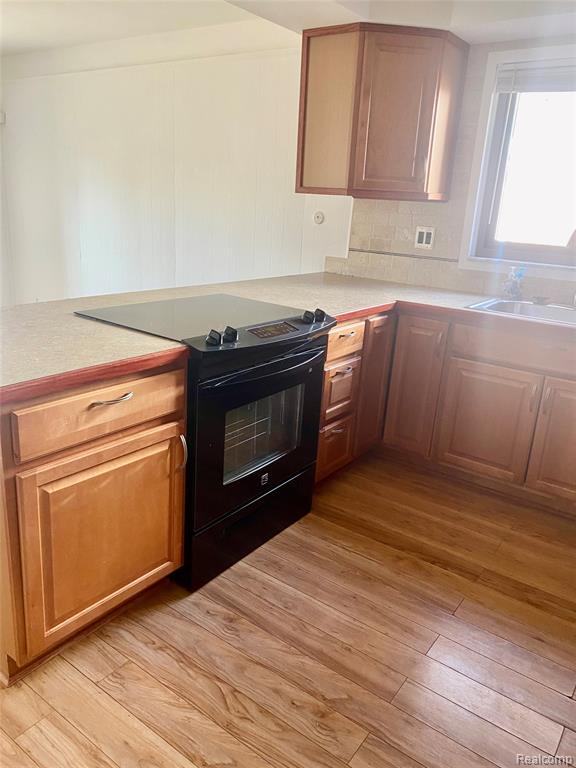 21664 Hall Road Woodhaven, MI 48183 - Photo 11 of 45