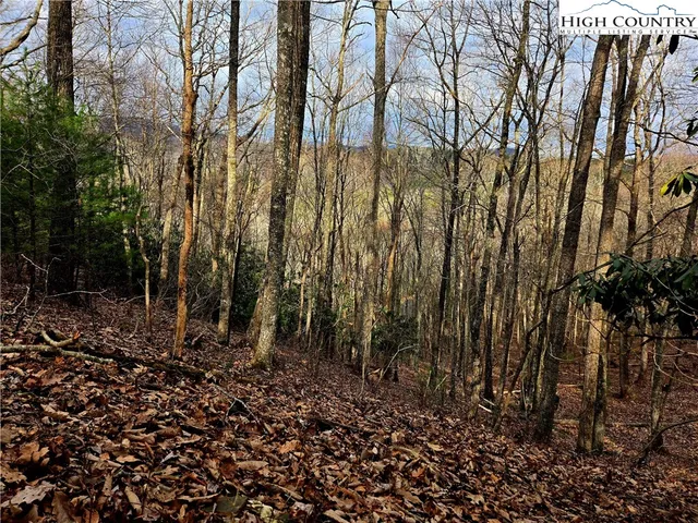 $45,000 | Lot 15 Riverstone Laurel Springs, Laurel Springs, NC 28644