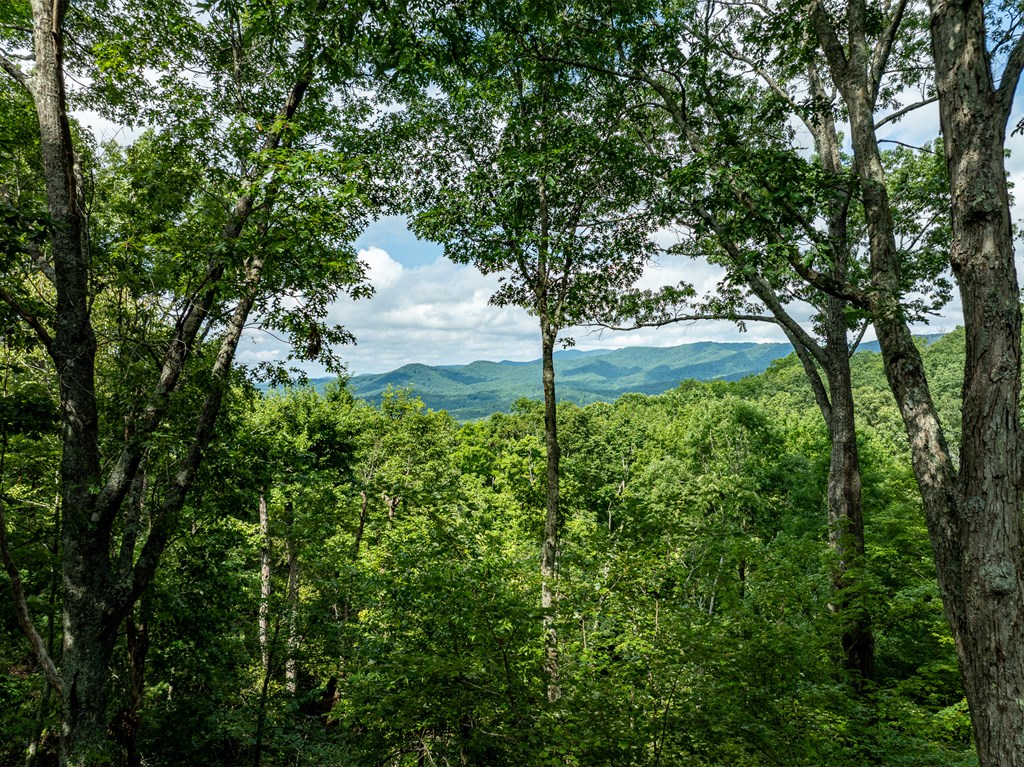 107 Little Bushy Head Road Blue Ridge, GA 30513 - Photo 35 of 43 Gallery Image 35