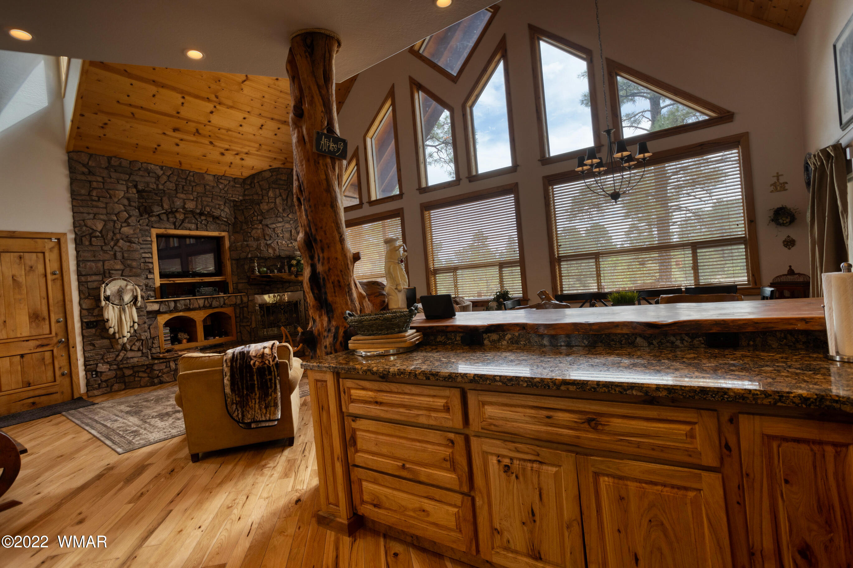 3033 Aspen Road Overgaard, AZ 85933 - Photo 16 of 37