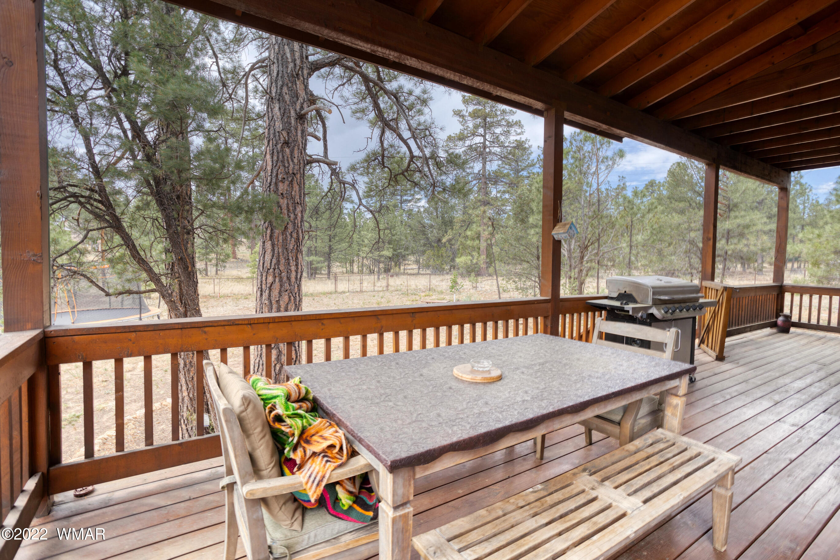 3033 Aspen Road Overgaard, AZ 85933 - Photo 37 of 37