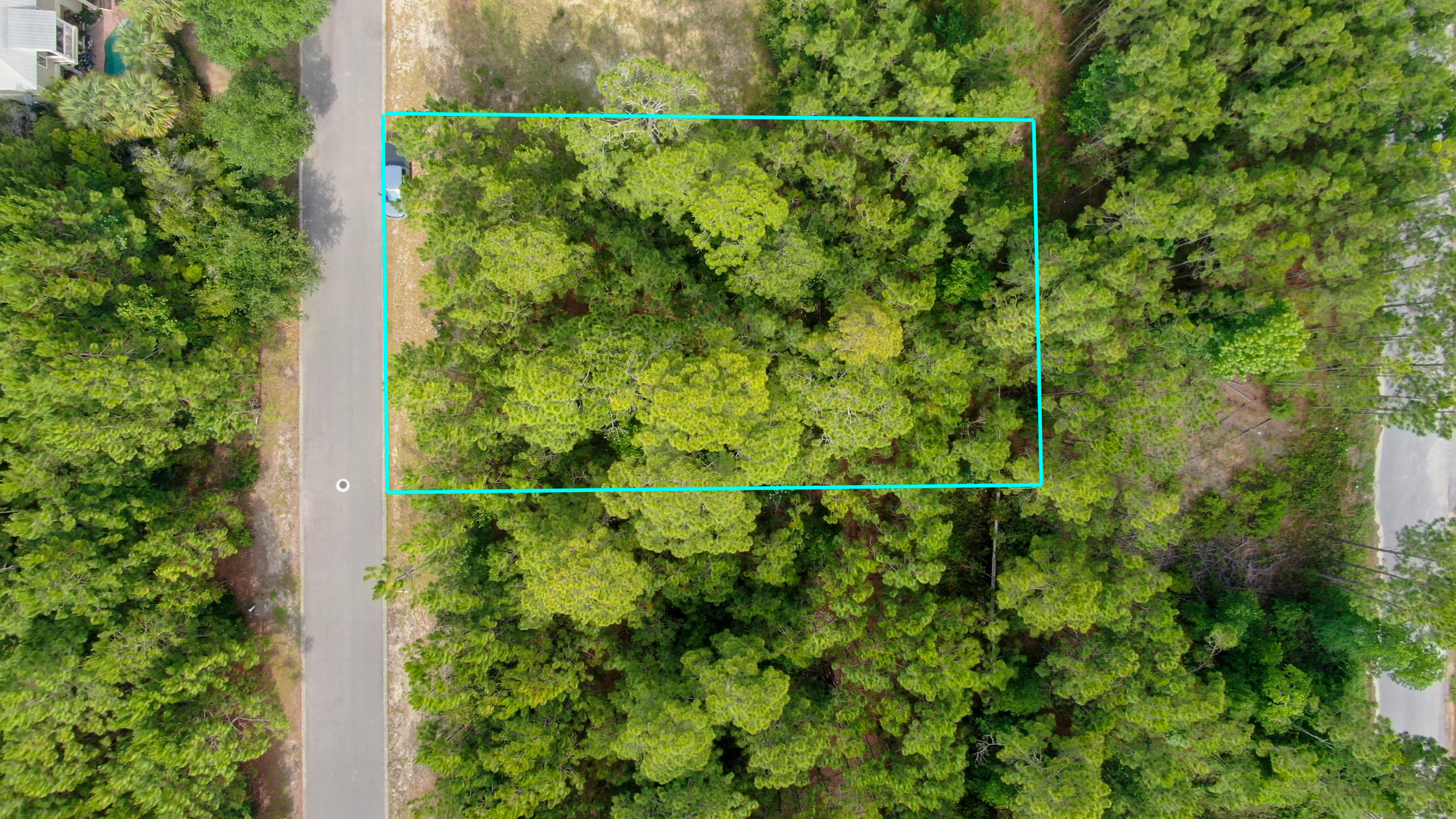 Lot #4 Preston Path Santa Rosa Beach, FL 32459 - Photo 13 of 14 a view of a forest