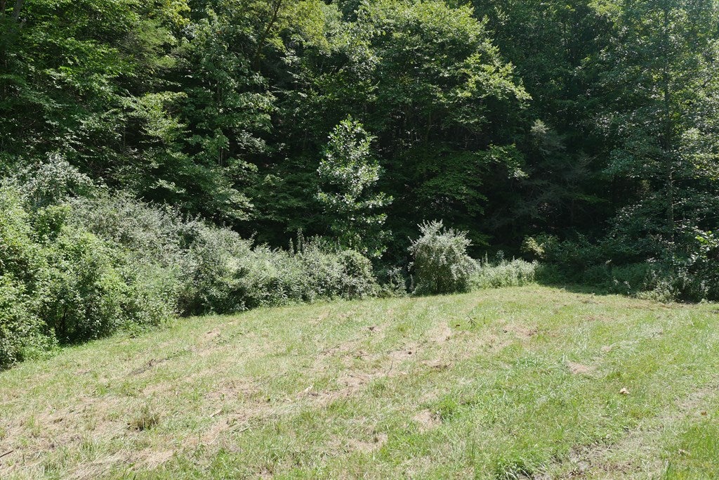 12246 Hunters Valley W Road Duffield, VA 24244 - Photo 14 of 20 Gallery Image 14