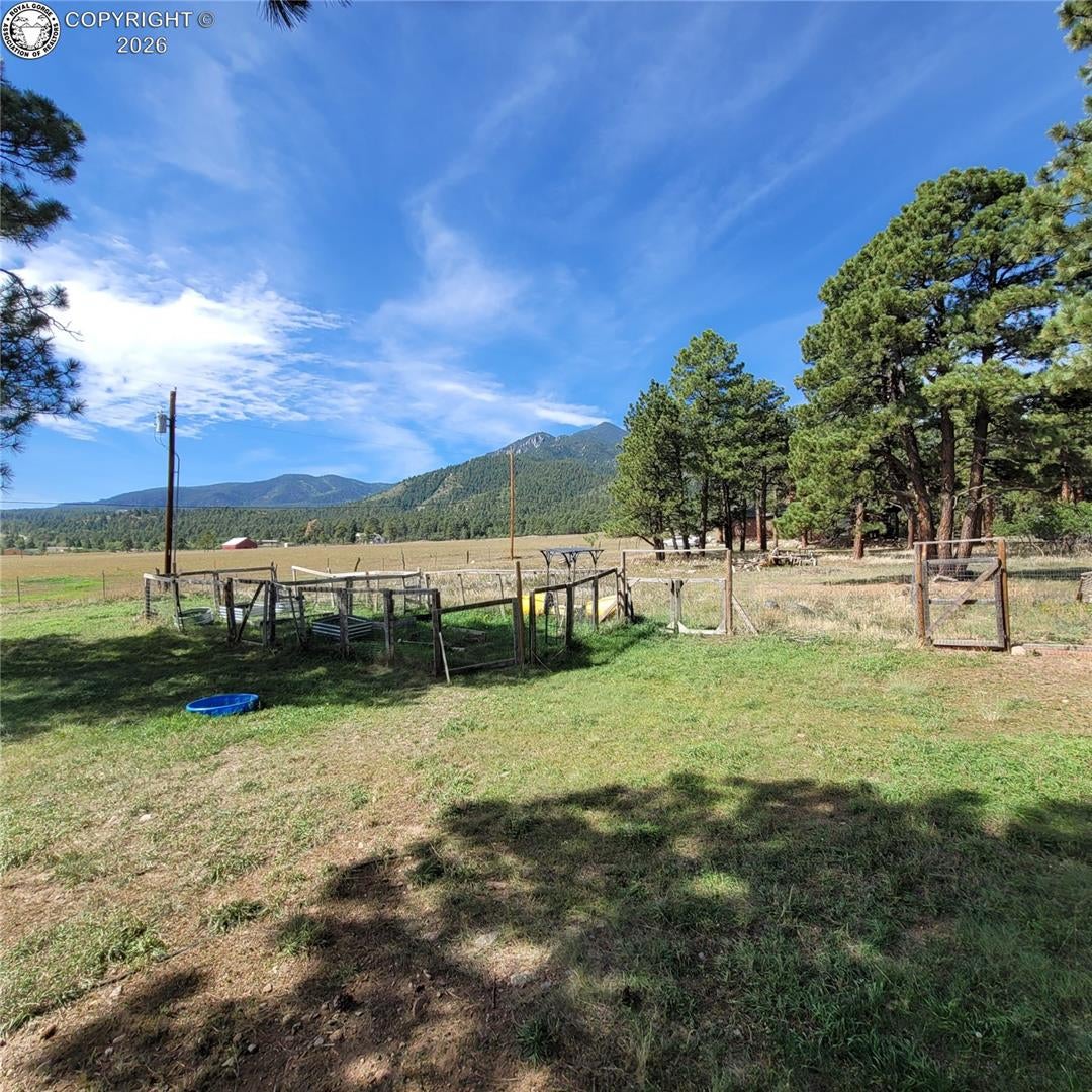 8152 Pine Drive Rye, CO 81069 - Photo 4 of 29 Gallery Image 4