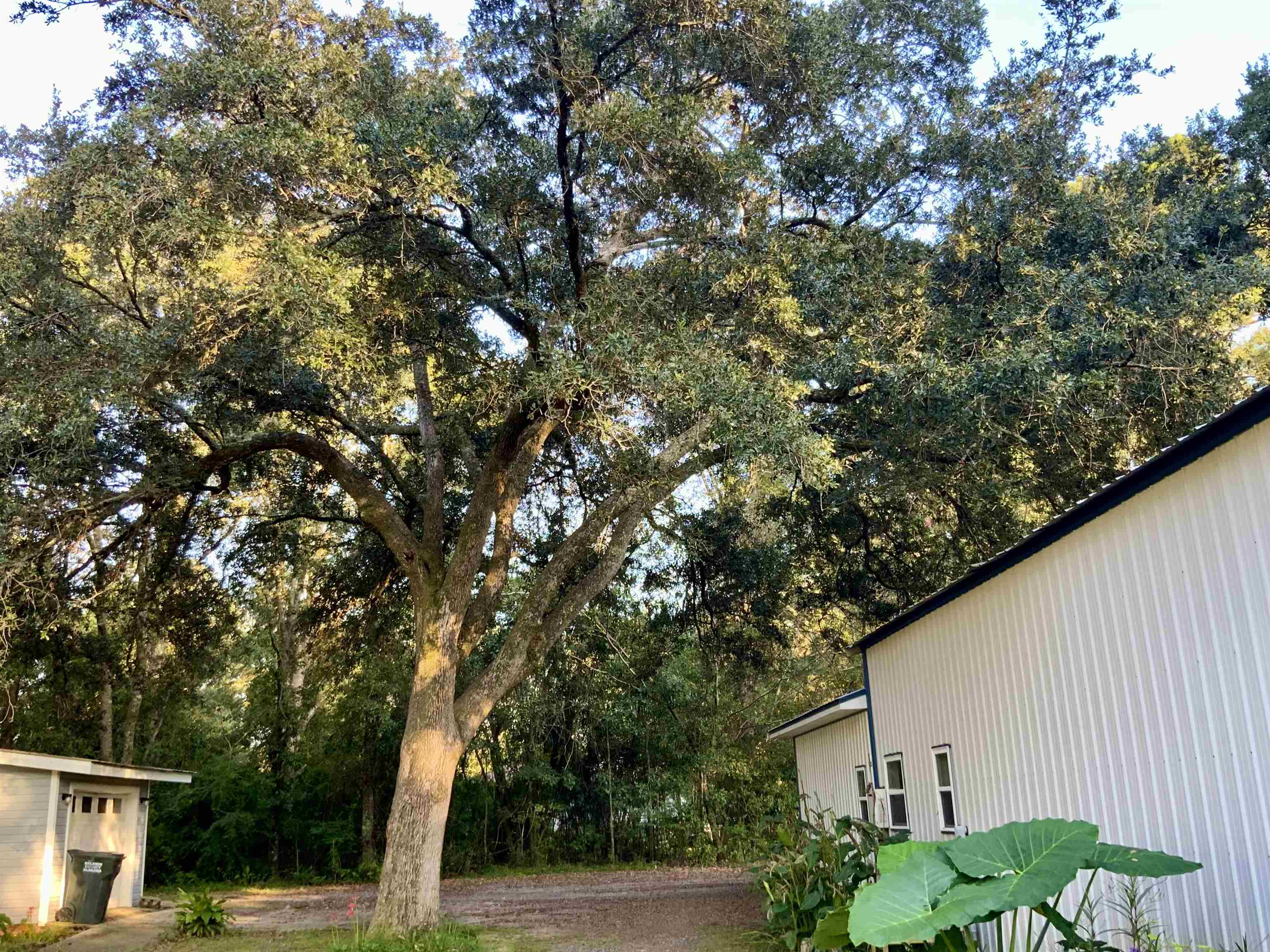 16549 Pne Grv Rd Extension North Bay Minette, AL 36507 - Photo 24 of 34