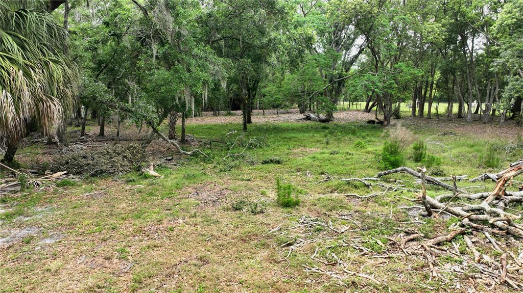 Cone Grove Road Riverview, FL 33578 - Photo 5 of 5 a view of park with trees
