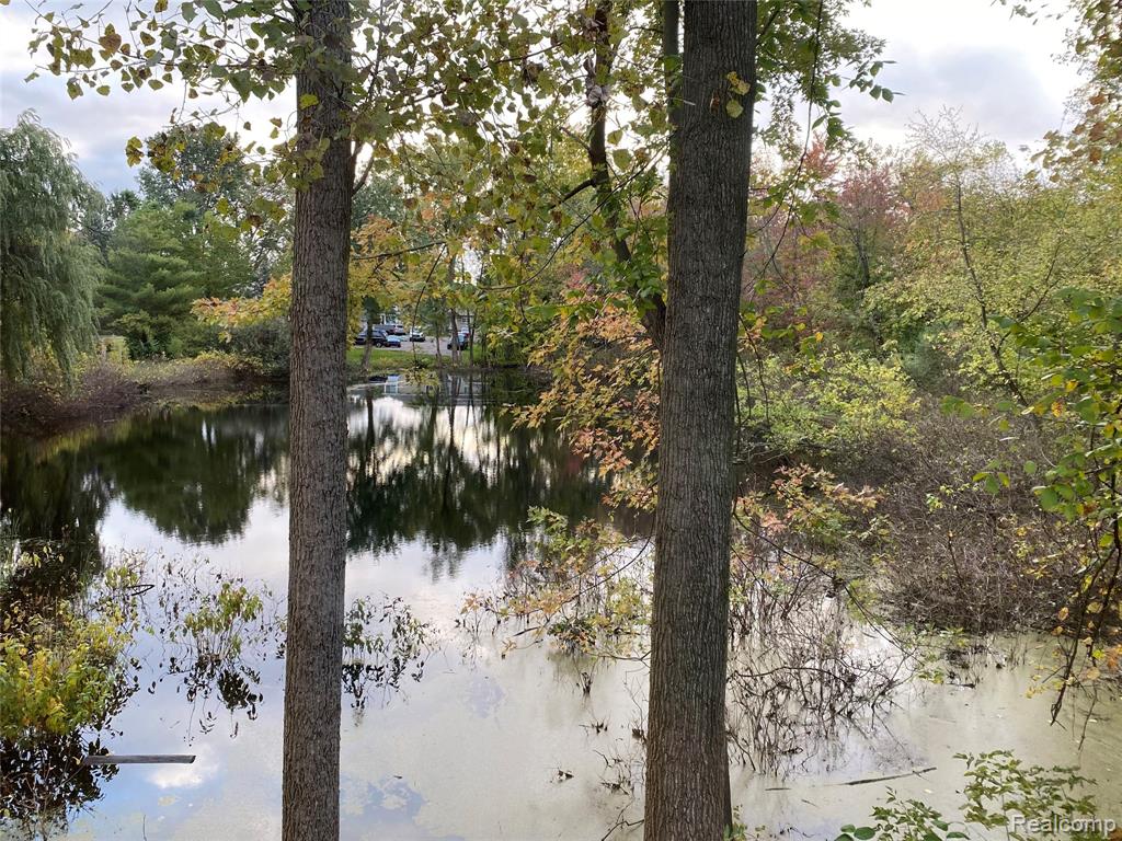 2230 Briar Ridge Wolverine Lake, MI 48390 - Photo 43 of 44
