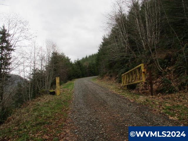 0 Rocky Top Road Sweet Home, OR 97386 - Photo 6 of 14