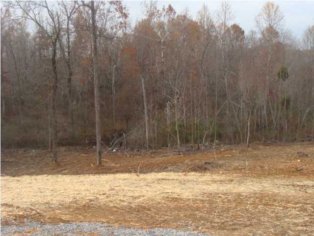 35 Forest Ridge Brandenburg, KY 40108 - Photo 2 of 17 Additional Photo