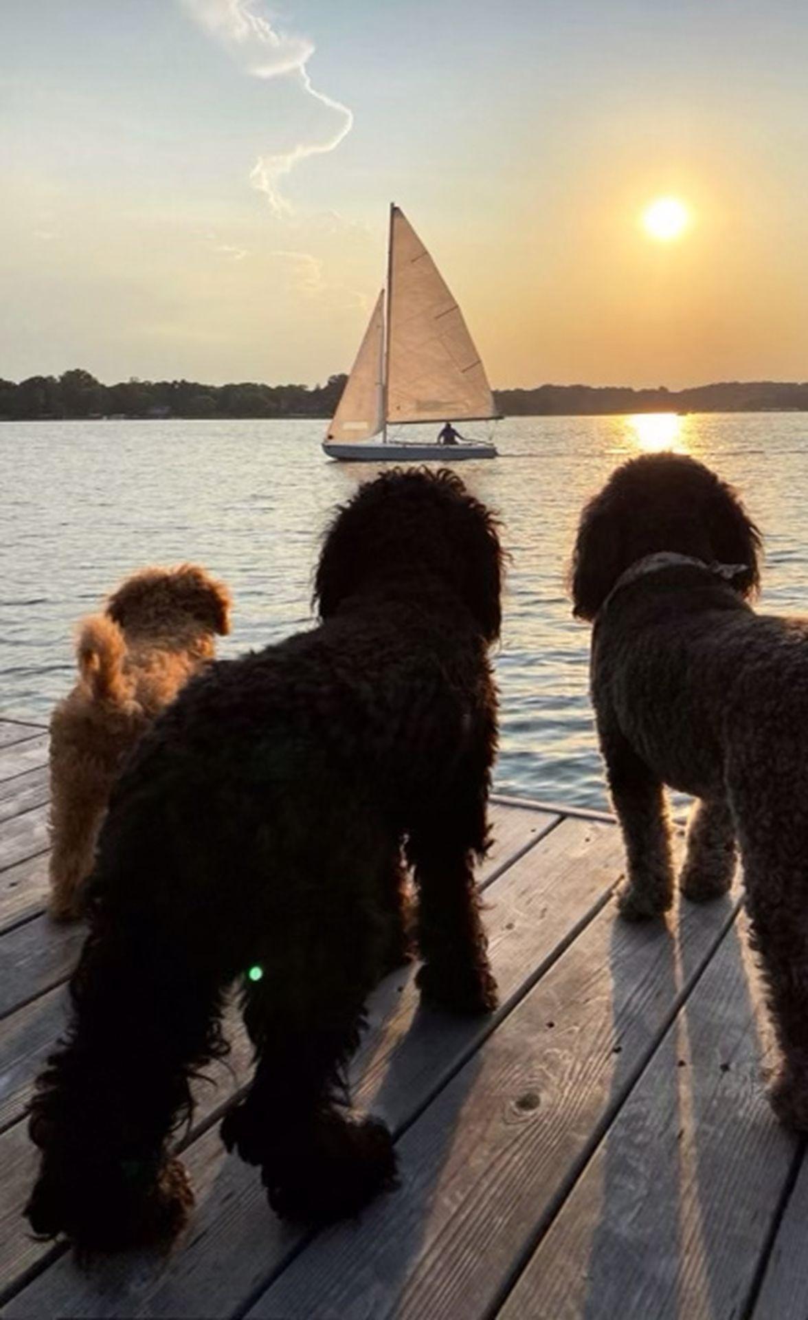 2017 Arbor Lane Mound, MN 55364 - Photo 43 of 55