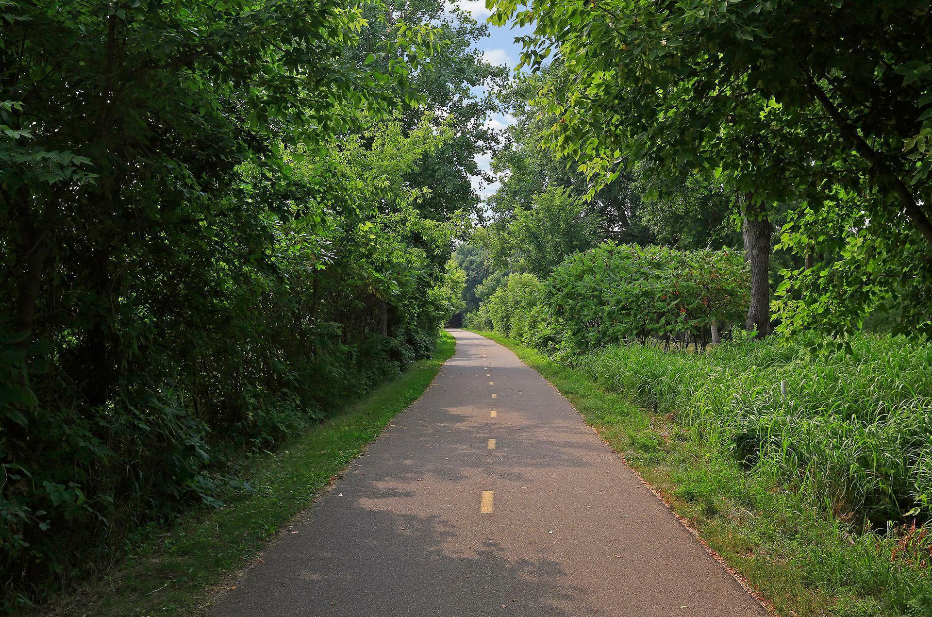 2017 Arbor Lane Mound, MN 55364 - Photo 52 of 55