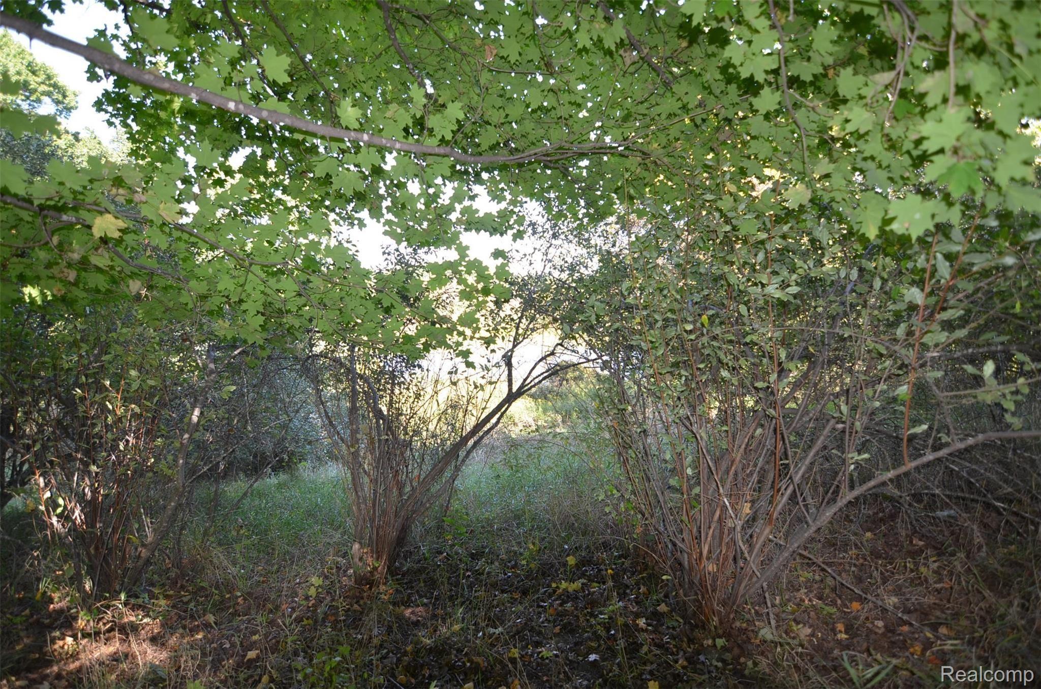 11000 Markland Road Holly, MI 48442 - Photo 6 of 9 DSC_0384.JPG