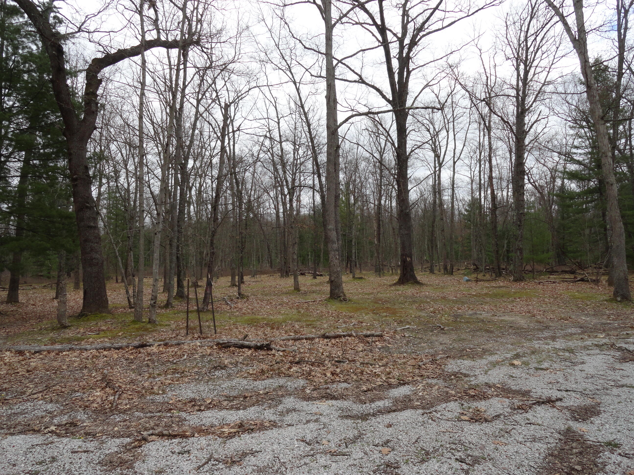 1035 Udell Hills Fire Tower Road Manistee, MI 49660 - Photo 9 of 14 efd01633-af91-4624-99e9-8033be0c4f27