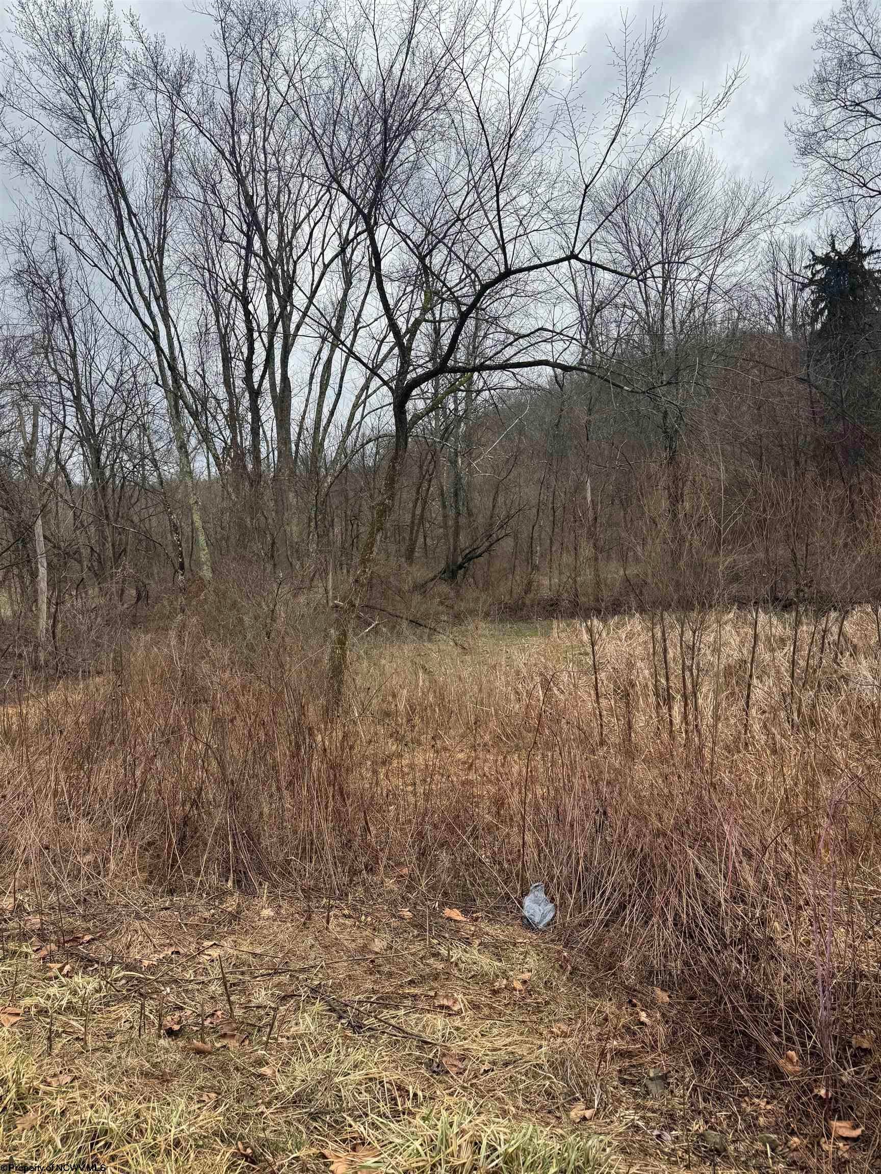 Tbd Sunshine Road Mannington, WV 26582 - Photo 6 of 6 Gallery Image 6
