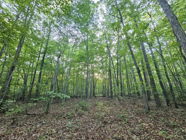 $42,500 | 3 Savage Highland Drive, Unit SW1D, Coalmont, TN 37313