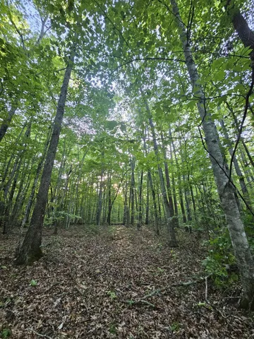 $42,500 | 3 Savage Highland Drive, Unit SW1D, Coalmont, TN 37313